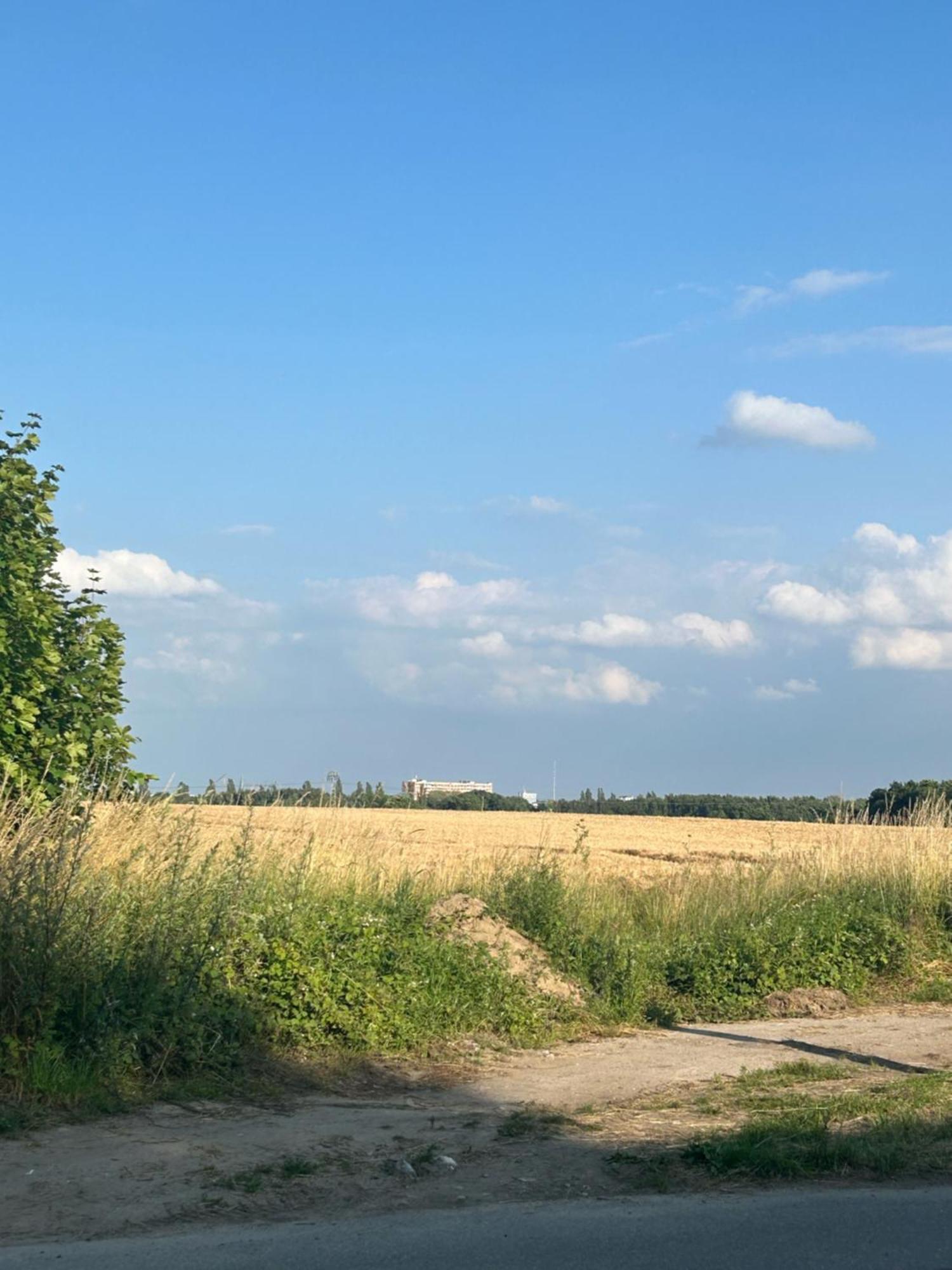 Ferienwohnungen Mit Feldblick Schwerin  Exteriér fotografie